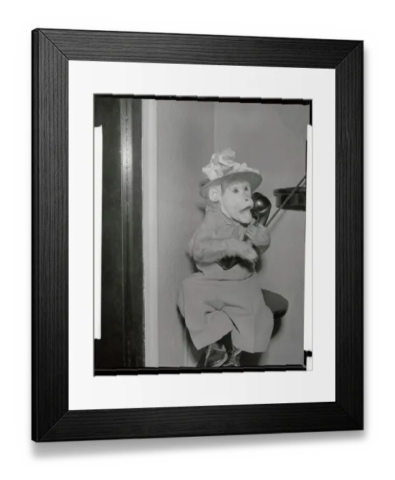 Framed Print : Monkey Talking on the Telephone Framed Print : Monkey Talking on the Telephone