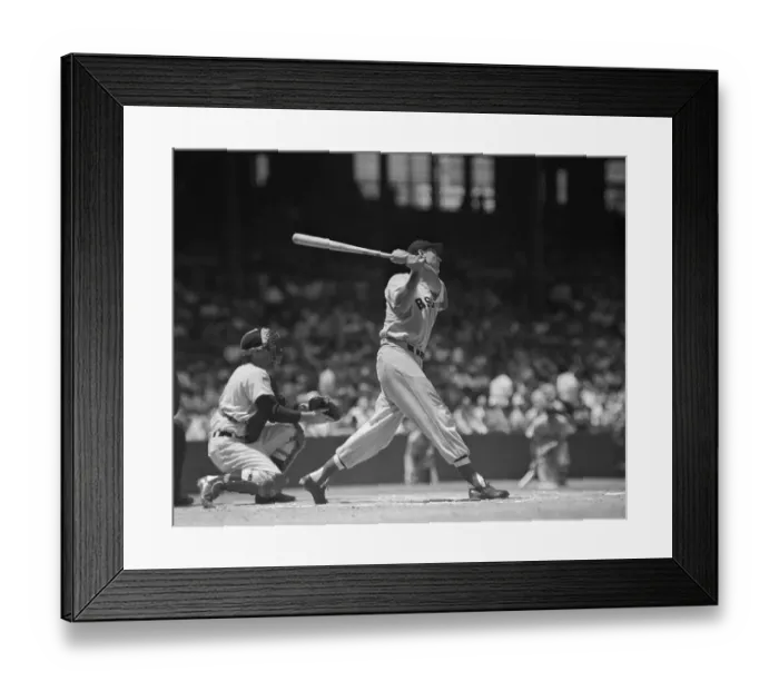 Framed Print : Profile of Ted Williams Playing Baseball Game Framed Print : Profile of Ted Williams Playing Baseball Game