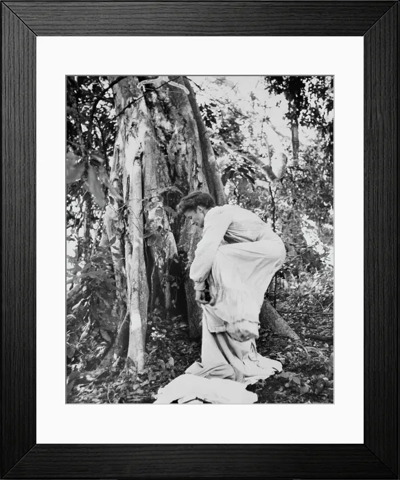 Framed Print : Katharine Hepburn Changing In Jungle Framed Print : Katharine Hepburn Changing In Jungle