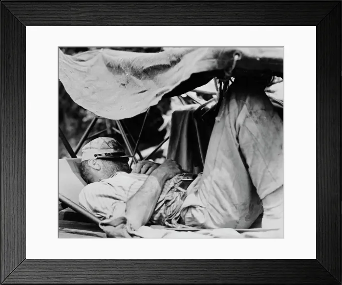 Framed Print : Bogart Catches Winks In Hammock Framed Print : Bogart Catches Winks In Hammock