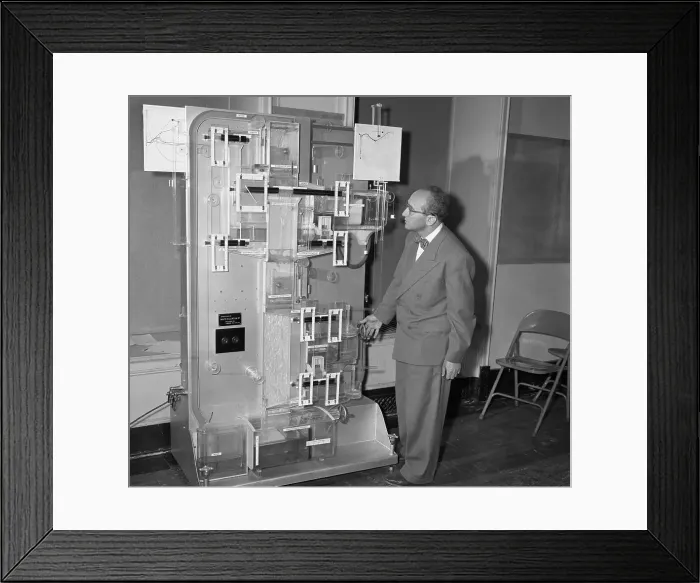 Framed Print : It's a Moniac