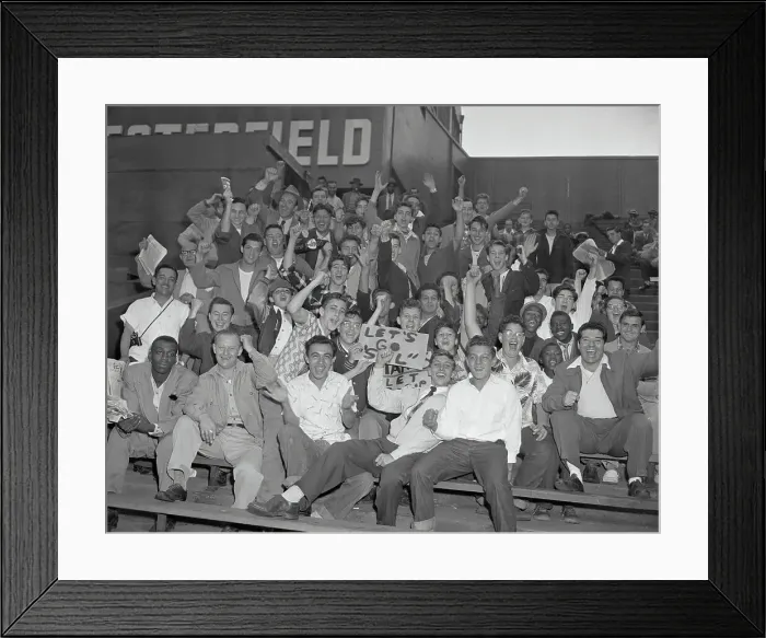 Framed Print : Baseball Fans Cheering in Bleachers Framed Print : Baseball Fans Cheering in Bleachers