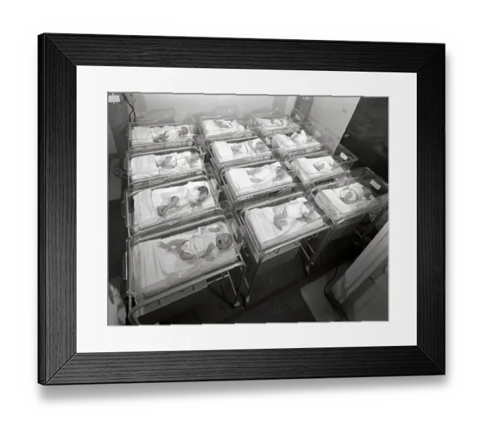 Framed Print : New Babies in the Hospital Framed Print : New Babies in the Hospital