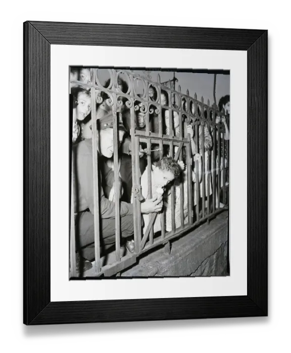 Framed Print : Boy With Head Stuck In Fence Eats Ice Cr Framed Print : Boy With Head Stuck In Fence Eats Ice Cr