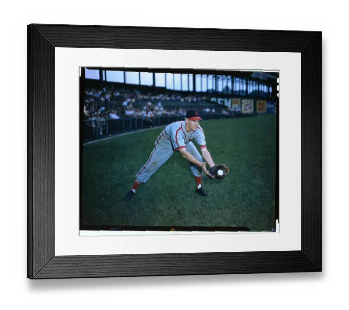 Framed Print : Martin Marion Fielding a Baseball in Game Framed Print : Martin Marion Fielding a Baseball in Game