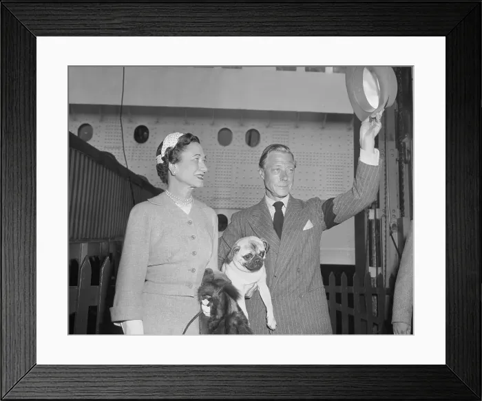 Framed Print : Windsor Royalty While Traveling Framed Print : Windsor Royalty While Traveling