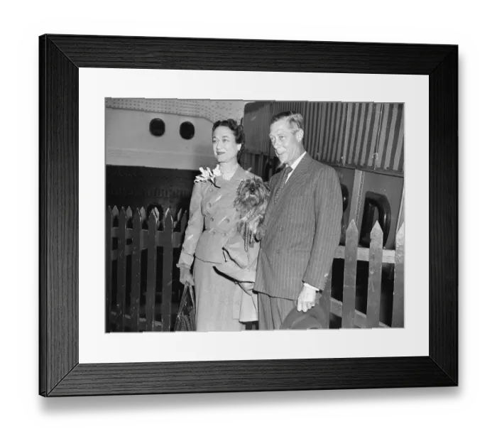 Framed Print : Windsor Royalty While Traveling Framed Print : Windsor Royalty While Traveling