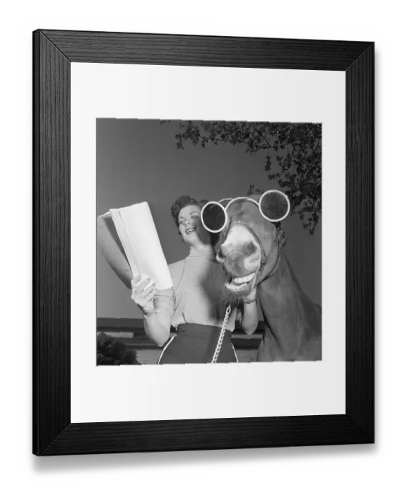Framed Print : Francis the Talking Mule Wearing Sunglasses Framed Print : Francis the Talking Mule Wearing Sunglasses