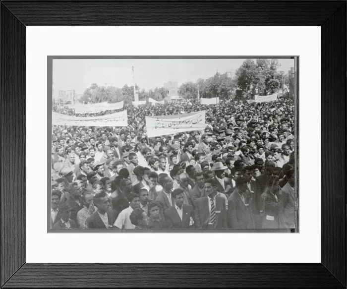Framed Print : Crowds Demonstrating with Signs Framed Print : Crowds Demonstrating with Signs