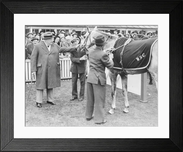 Framed Print : Winston Churchill Patting Horse Framed Print : Winston Churchill Patting Horse