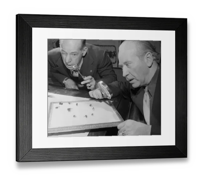 Framed Print : Roy Heckler Watching His Flea Circus Performing