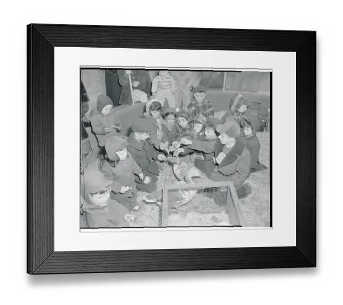 Framed Print : Opening Day of Children's Zoo, Bronx Park Framed Print : Opening Day of Children's Zoo, Bronx Park