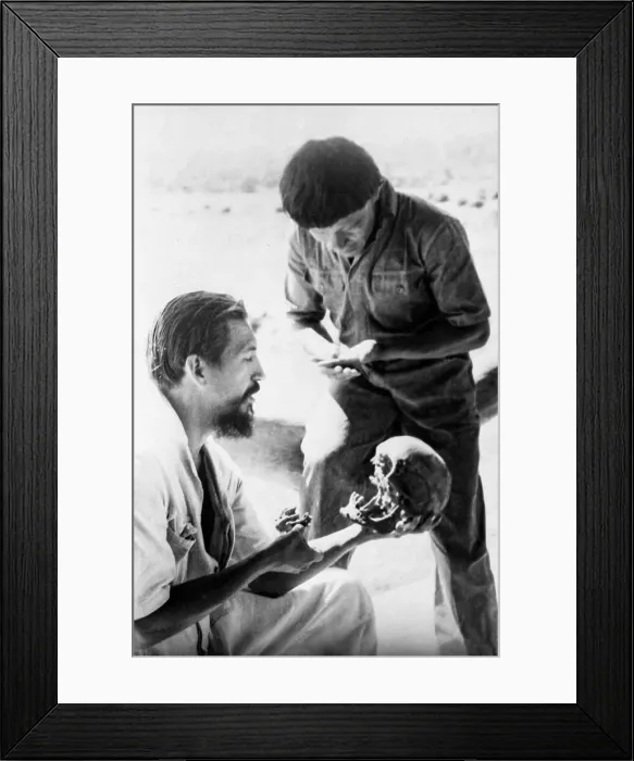 Framed Print : Bones of Percival Fawcett Framed Print : Bones of Percival Fawcett