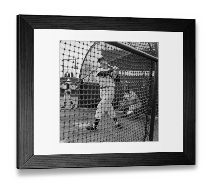 Framed Print : Joe DiMaggio Practicing Batting in Cage Framed Print : Joe DiMaggio Practicing Batting in Cage