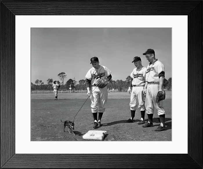 Framed Print : Baseball Players Lead Pet Dog Around Bases Framed Print : Baseball Players Lead Pet Dog Around Bases