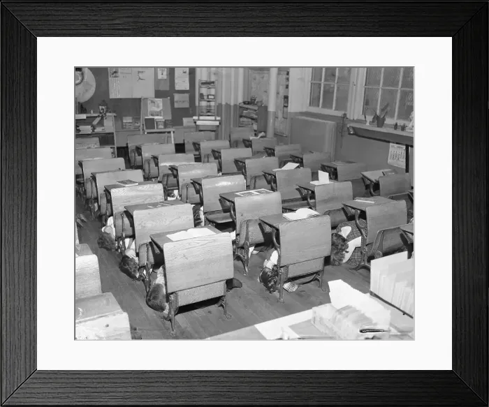 Framed Print : Children Practicing a Bomb Drill Framed Print : Children Practicing a Bomb Drill