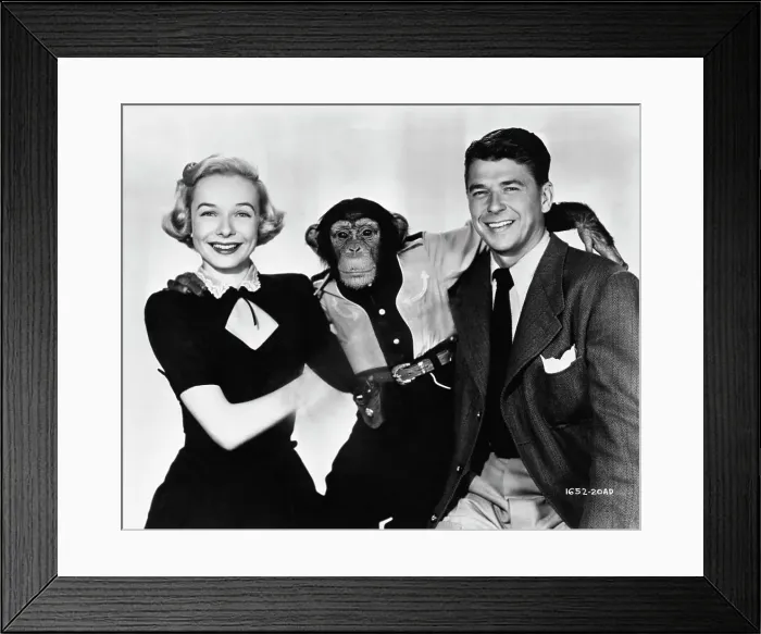 Framed Print : Diana Lynn, Bonzo, and Ronald Reagan in Bedtime for Bonzo Framed Print : Diana Lynn, Bonzo, and Ronald Reagan in Bedtime for Bonzo