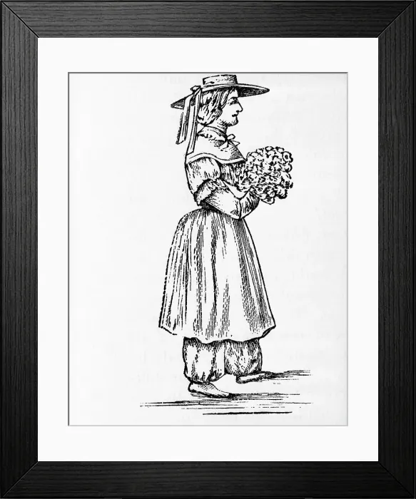 Framed Print : Amelia Bloomer In Cosutme; Bloomers Framed Print : Amelia Bloomer In Cosutme; Bloomers
