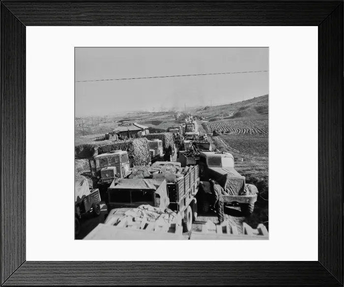 Framed Print : Retreat From Pyongyang, North Korea Framed Print : Retreat From Pyongyang, North Korea