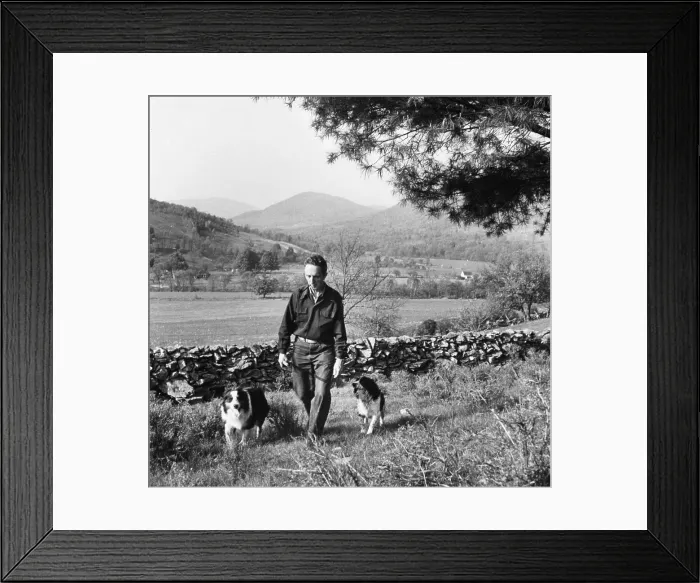 Framed Print : Norman Rockwell Walking with Dogs