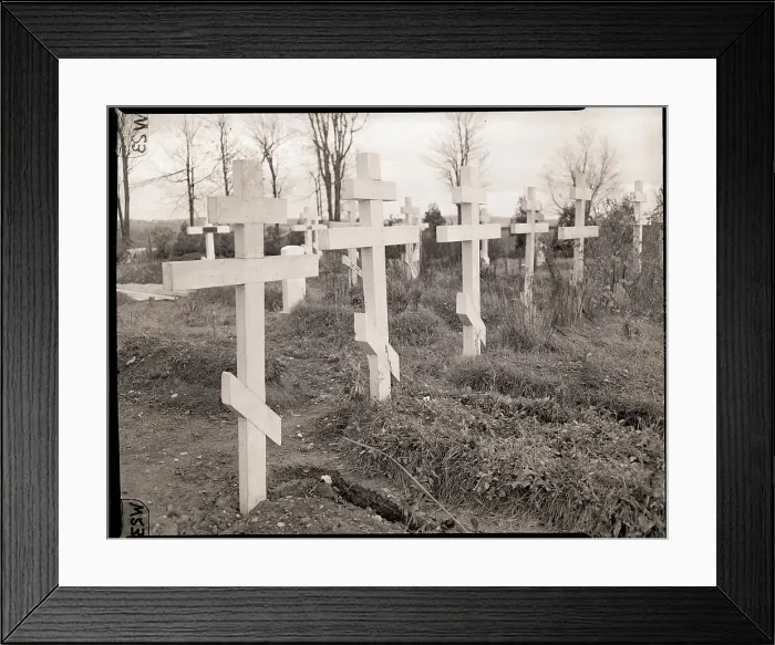 Framed Print : Graveyard at St. Trinity Monastery Framed Print : Graveyard at St. Trinity Monastery