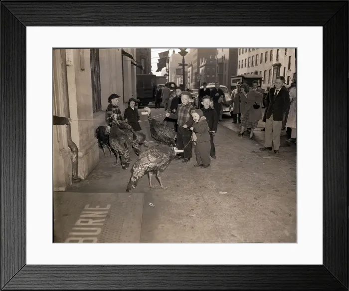 Framed Print : Child Pulling Turkey on Leash Framed Print : Child Pulling Turkey on Leash