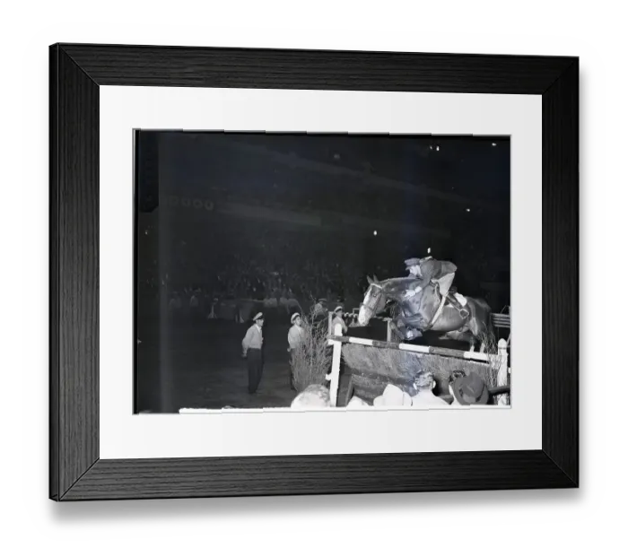Framed Print : Show Jumper at National Horse Show