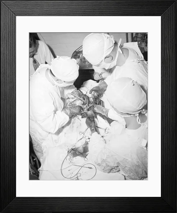 Framed Print : Doctors Performing Surgery on Dog Framed Print : Doctors Performing Surgery on Dog
