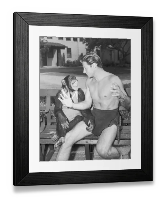 Framed Print : Lex Barker and Cheeta on Bench Framed Print : Lex Barker and Cheeta on Bench