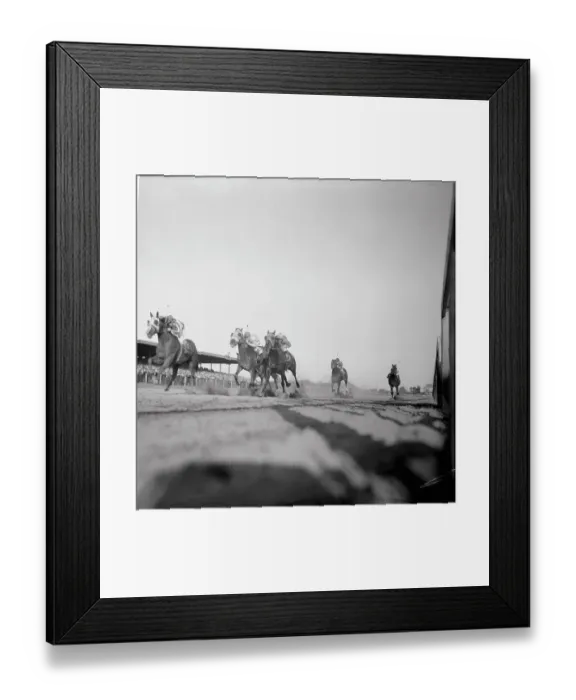Framed Print : A Group of Horses Running A Race Framed Print : A Group of Horses Running A Race