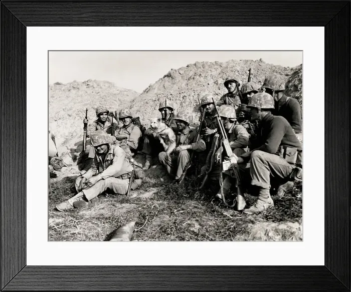 Framed Print : Marines With Dog In South Korea Framed Print : Marines With Dog In South Korea