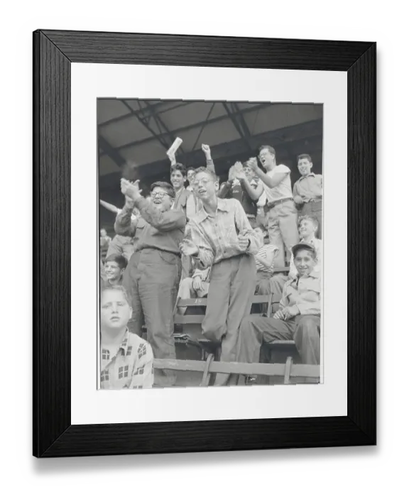 Framed Print : Fans Celebrating in Bleachers Framed Print : Fans Celebrating in Bleachers