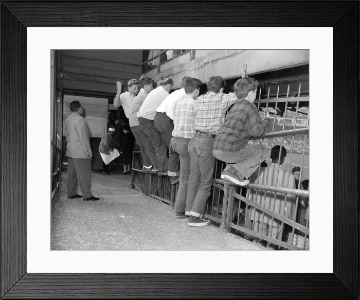 Framed Print : Fans Watching Game Through Fence Framed Print : Fans Watching Game Through Fence