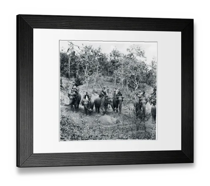 Framed Print : Elephants Used As Tanks To Carry Soldier Framed Print : Elephants Used As Tanks To Carry Soldier