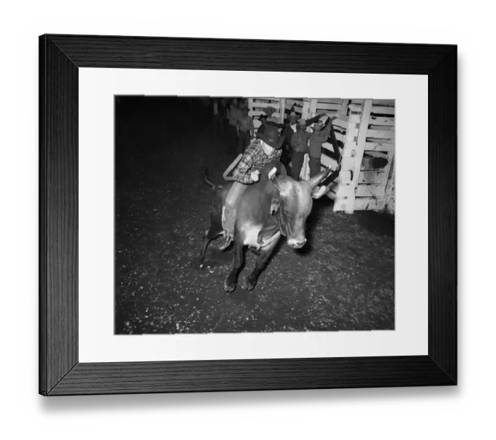 Framed Print : Hooves, Horns, and Hope Framed Print : Hooves, Horns, and Hope