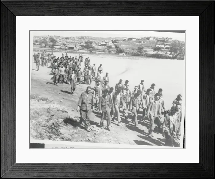 Framed Print : Soldiers Walking Together Framed Print : Soldiers Walking Together
