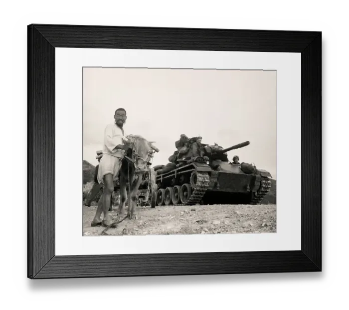 Framed Print : Ox Cart And Tank In Korea Framed Print : Ox Cart And Tank In Korea
