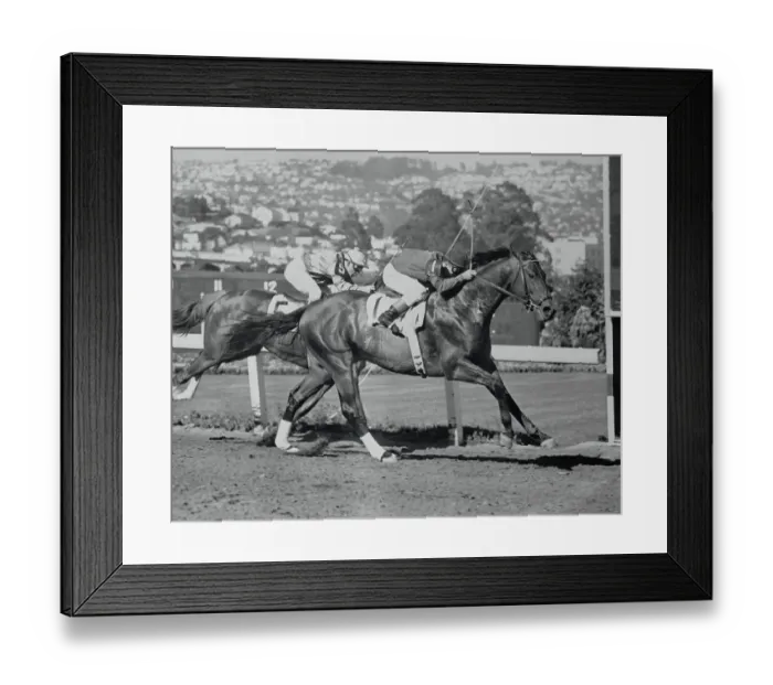 Framed Print : Citation Pulling Ahead of Bolero Framed Print : Citation Pulling Ahead of Bolero