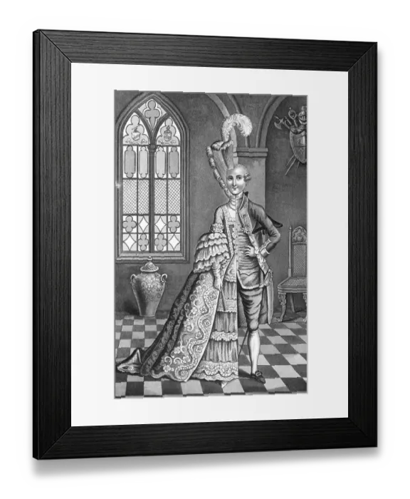 Framed Print : European Rococo Allegorical Print of Hermaphrodite Framed Print : European Rococo Allegorical Print of Hermaphrodite
