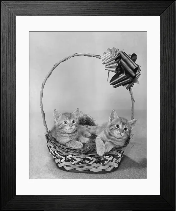 Framed Print : Two Kittens in Easter Basket Framed Print : Two Kittens in Easter Basket