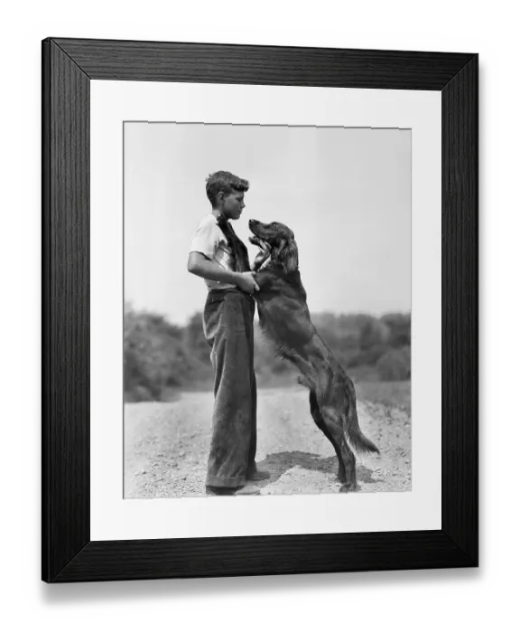 Framed Print : Teenage Boy with Irish Setter Framed Print : Teenage Boy with Irish Setter