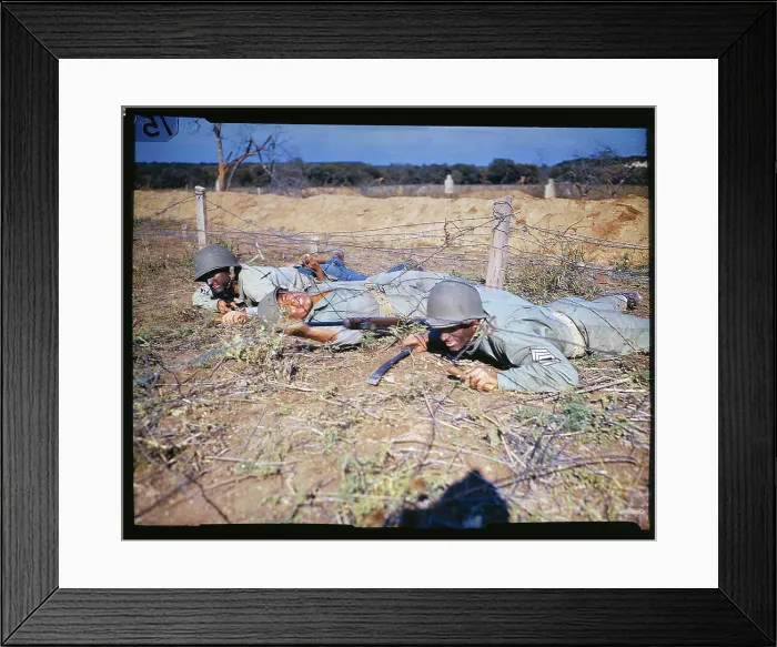 Framed Print : Soldier Crawling Under Batrbwire Framed Print : Soldier Crawling Under Batrbwire
