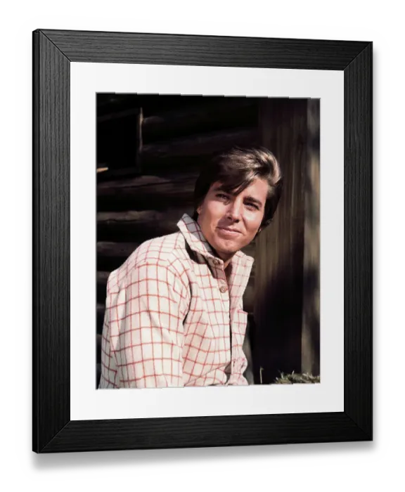 Framed Print : Bobby Sherman Framed Print : Bobby Sherman