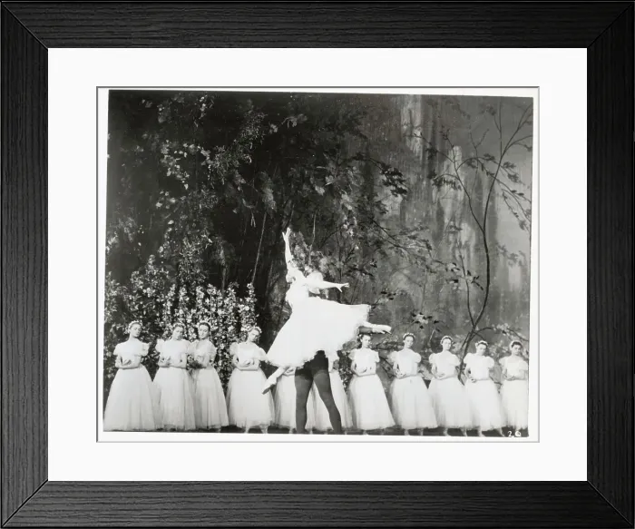 Framed Print : The Bolshoi Ballet Framed Print : The Bolshoi Ballet