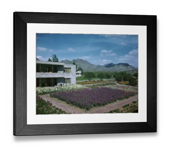 Framed Print : Hotel Garden Framed Print : Hotel Garden