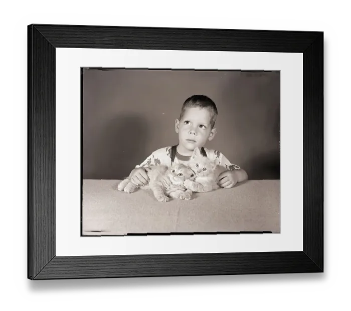 Framed Print : Boy with Kittens Framed Print : Boy with Kittens