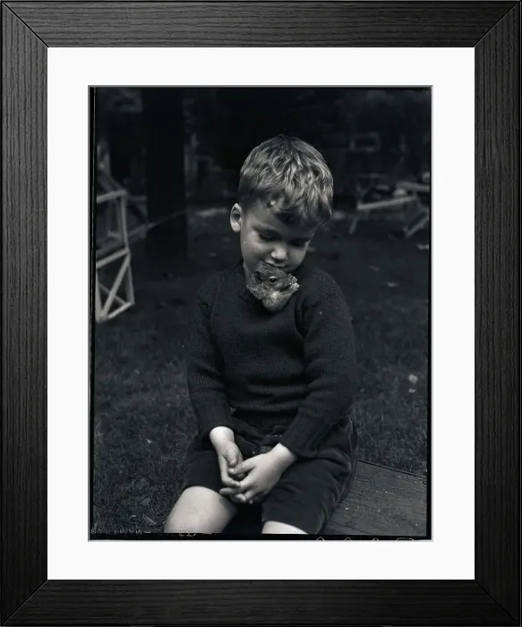 Framed Print : Boy Playing with Pet Squirrel Framed Print : Boy Playing with Pet Squirrel