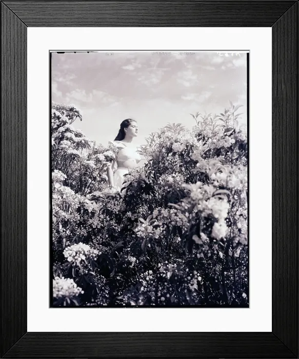 Framed Print : Woman Stands in the Mountain Laurel Framed Print : Woman Stands in the Mountain Laurel