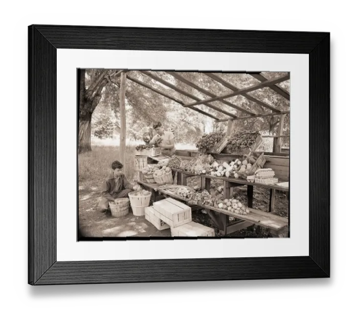 Framed Print : Teenage Boys at Vegetable Stand Framed Print : Teenage Boys at Vegetable Stand