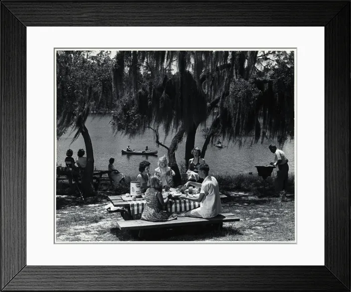 Framed Print : Family Having a Lakeside Picnic Framed Print : Family Having a Lakeside Picnic